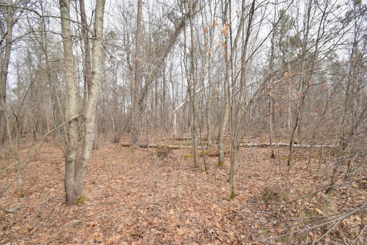 9274 Black Brook Road Webster WI 54893 — photo 39