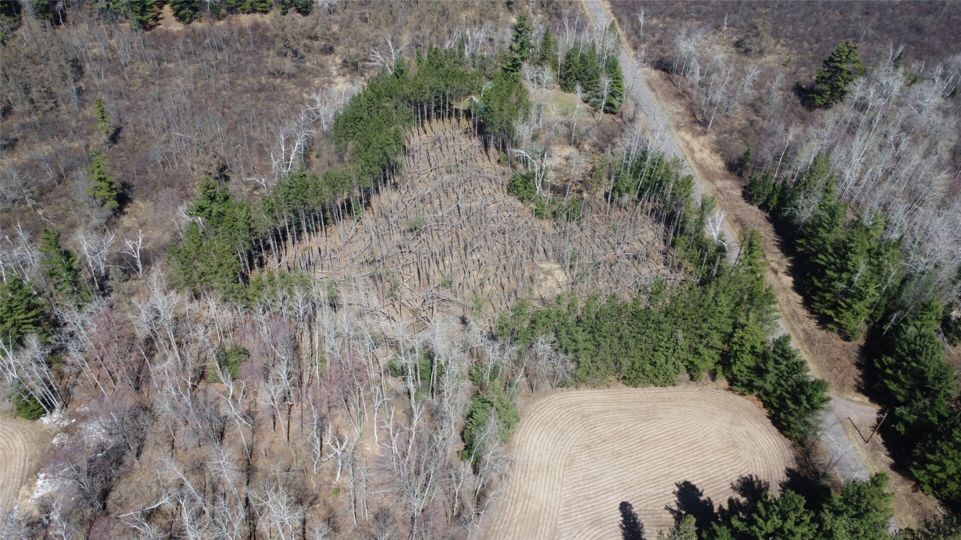 Land at 9.429 Schwartz Road, Exeland, WI 54835 — photo 2