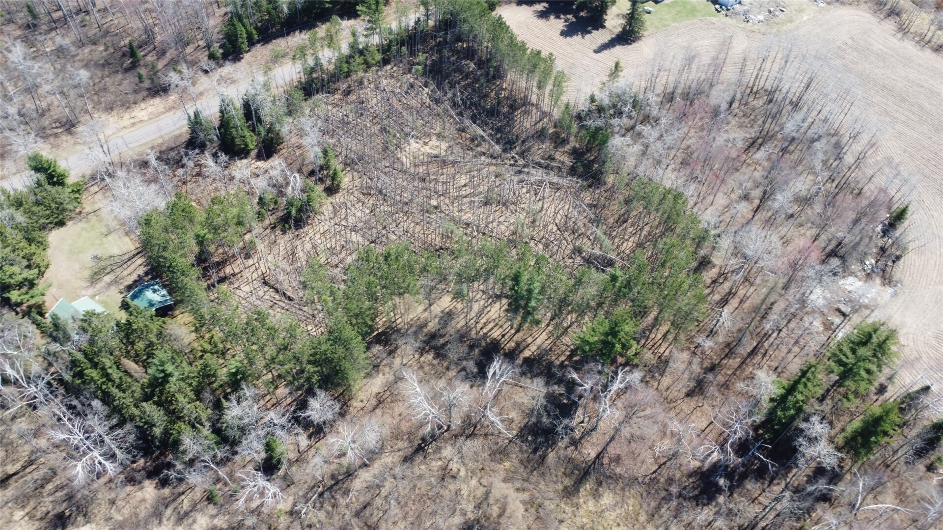 Land at 9.429 Schwartz Road, Exeland, WI 54835 — photo 5