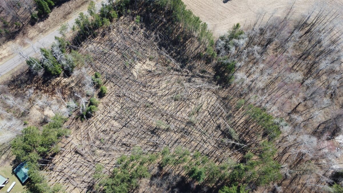 Land at 9.429 Schwartz Road, Exeland, WI 54835 — photo 6