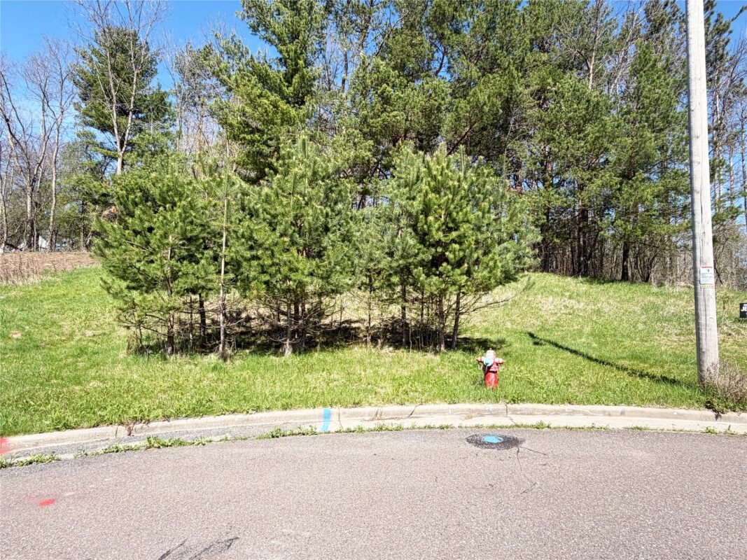 950 Emerald Court, Rice Lake, WI — photo 3