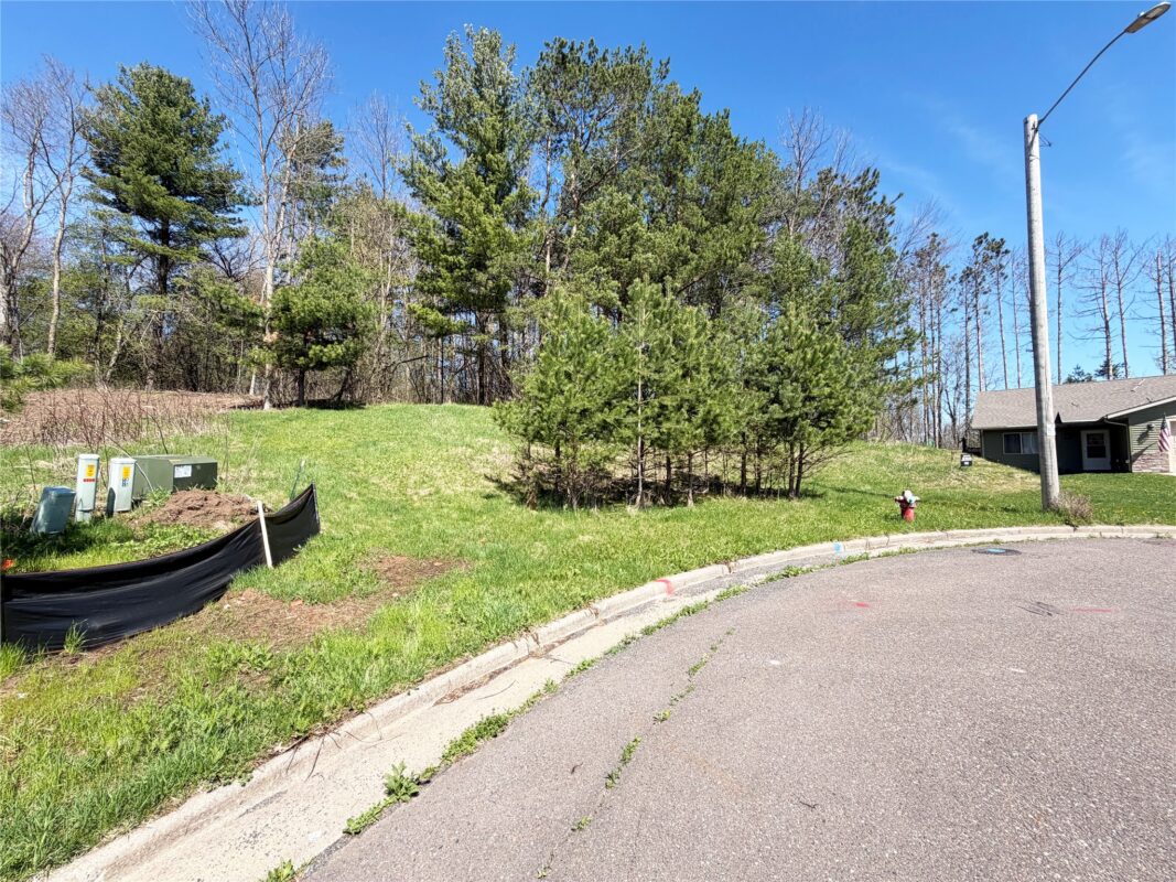 950 Emerald Court, Rice Lake, WI — photo 4