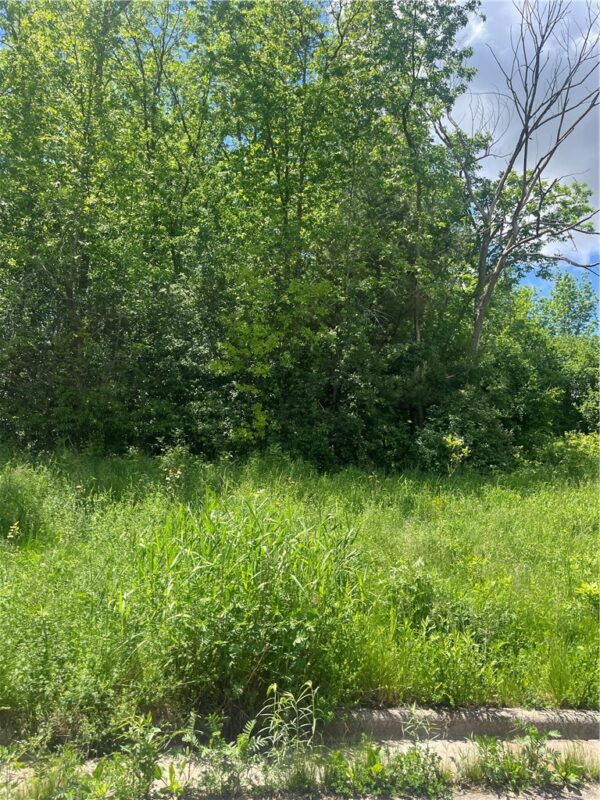 950 Emerald Court, Rice Lake, WI — photo 7