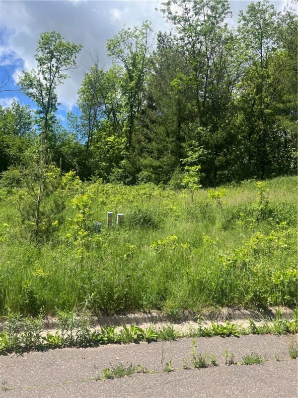950 Emerald Court, Rice Lake, WI — photo 8