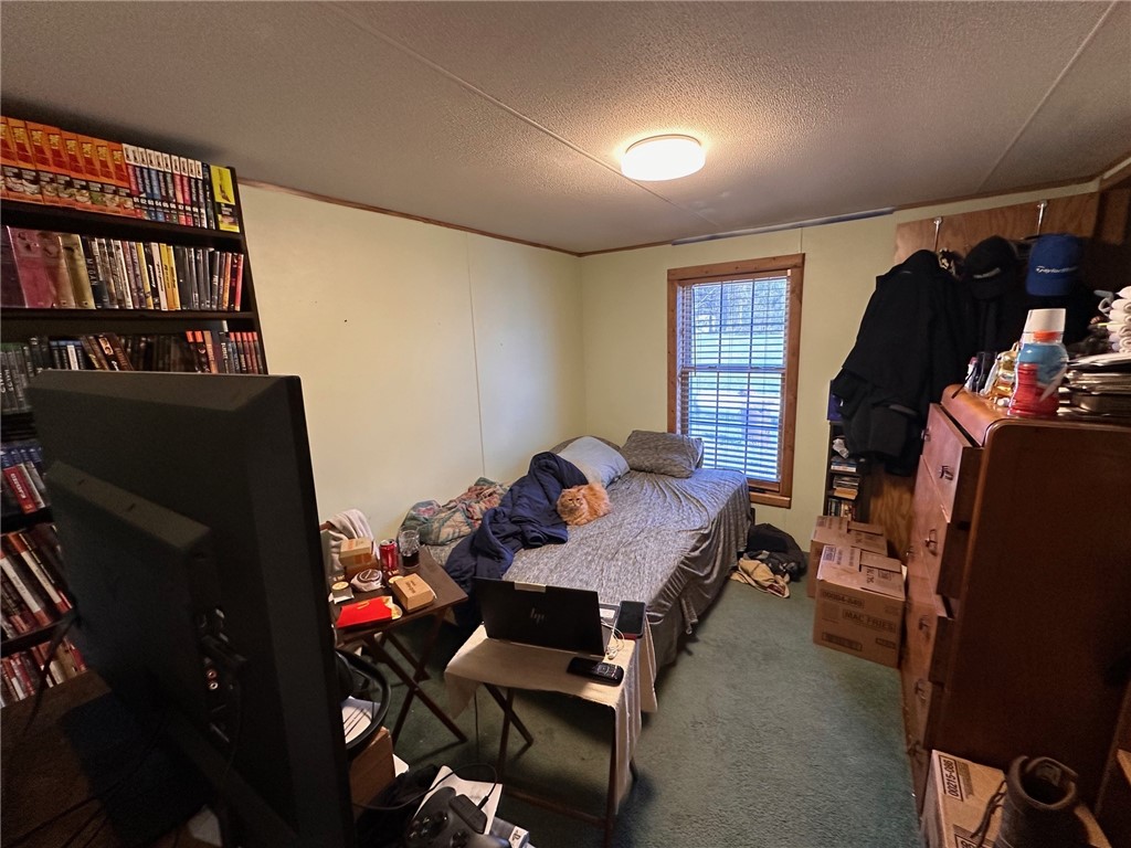 Residential at 9527 Wild River Drive, Hayward, WI 54843 — photo 9