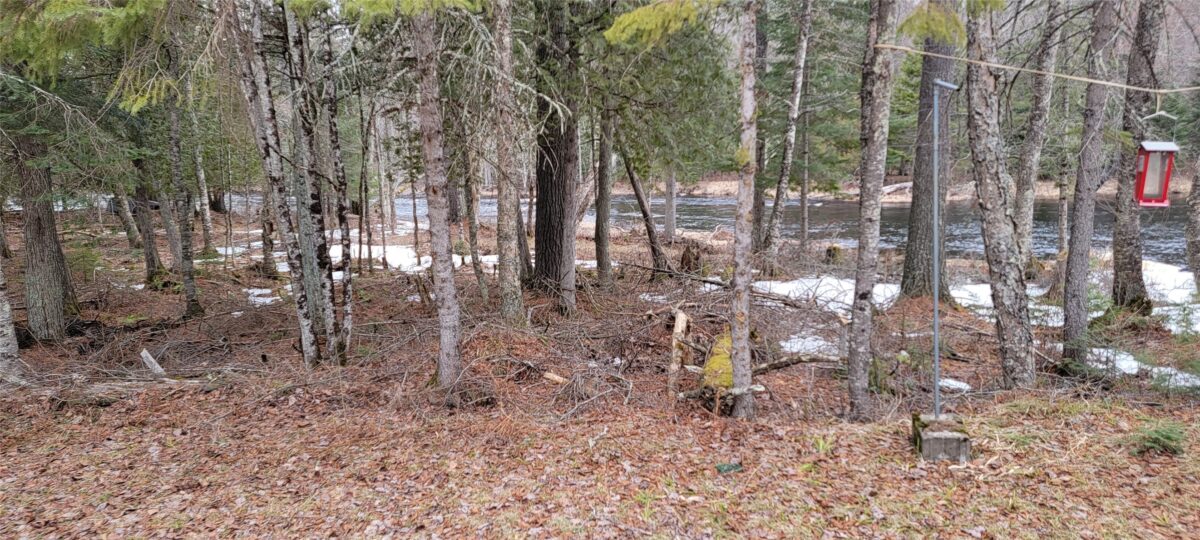 9591N Old Grade Road, Winter, WI — photo 35