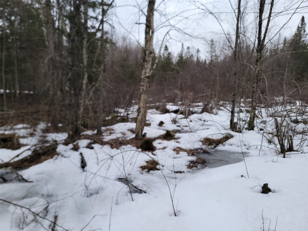 9591N Old Grade Road, Winter, WI — photo 36