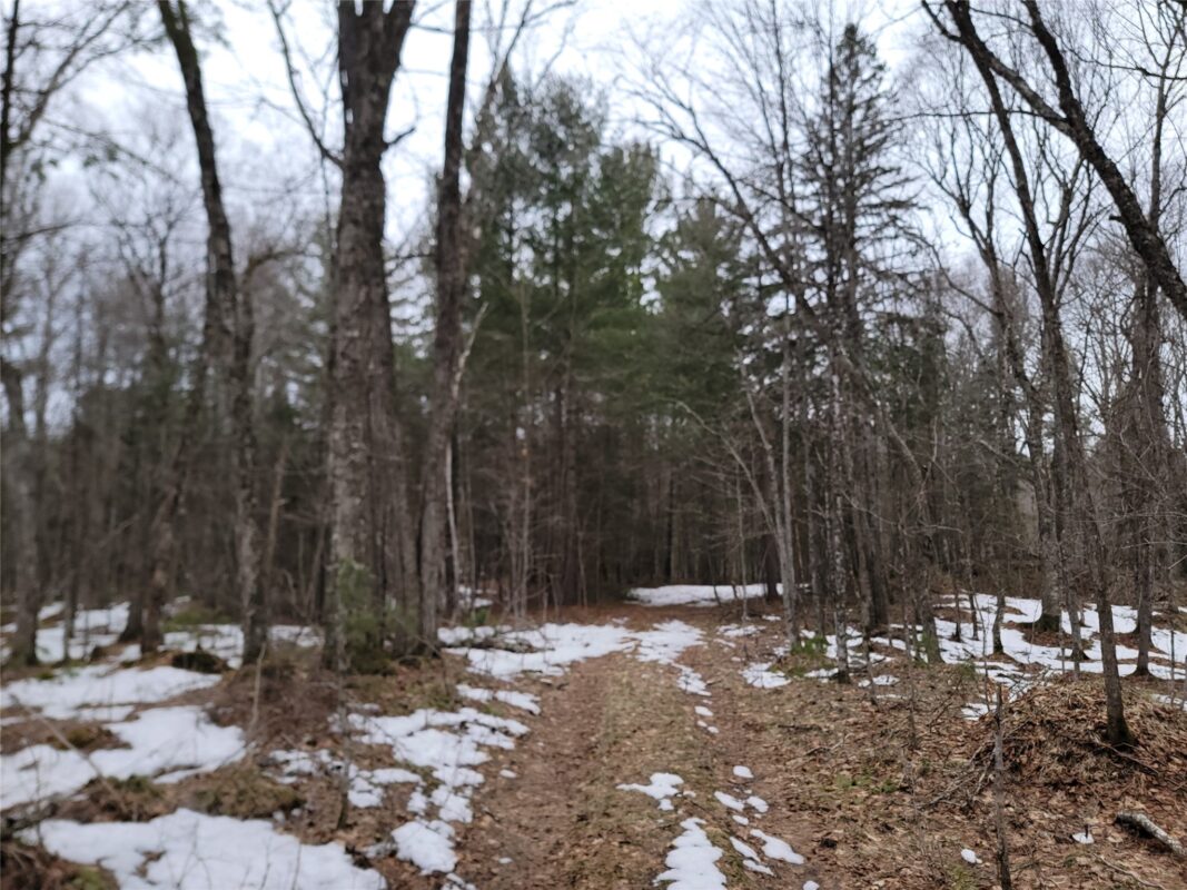 9591N Old Grade Road, Winter, WI — photo 37