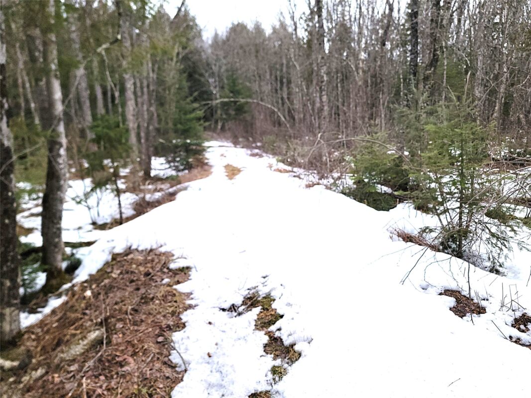 9591N Old Grade Road, Winter, WI — photo 45