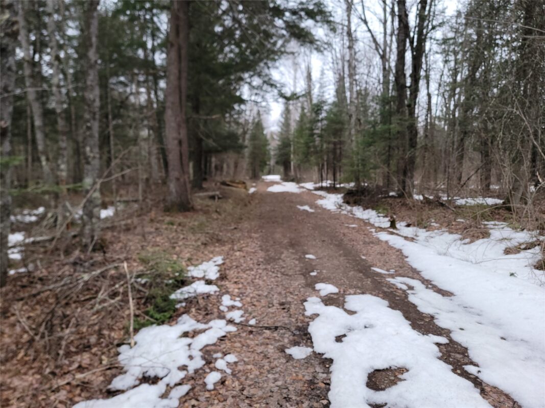 9591N Old Grade Road, Winter, WI — photo 46