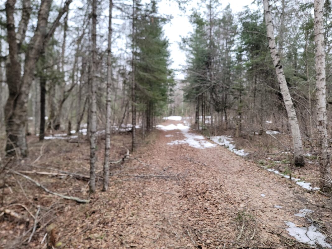 9591N Old Grade Road, Winter, WI — photo 47