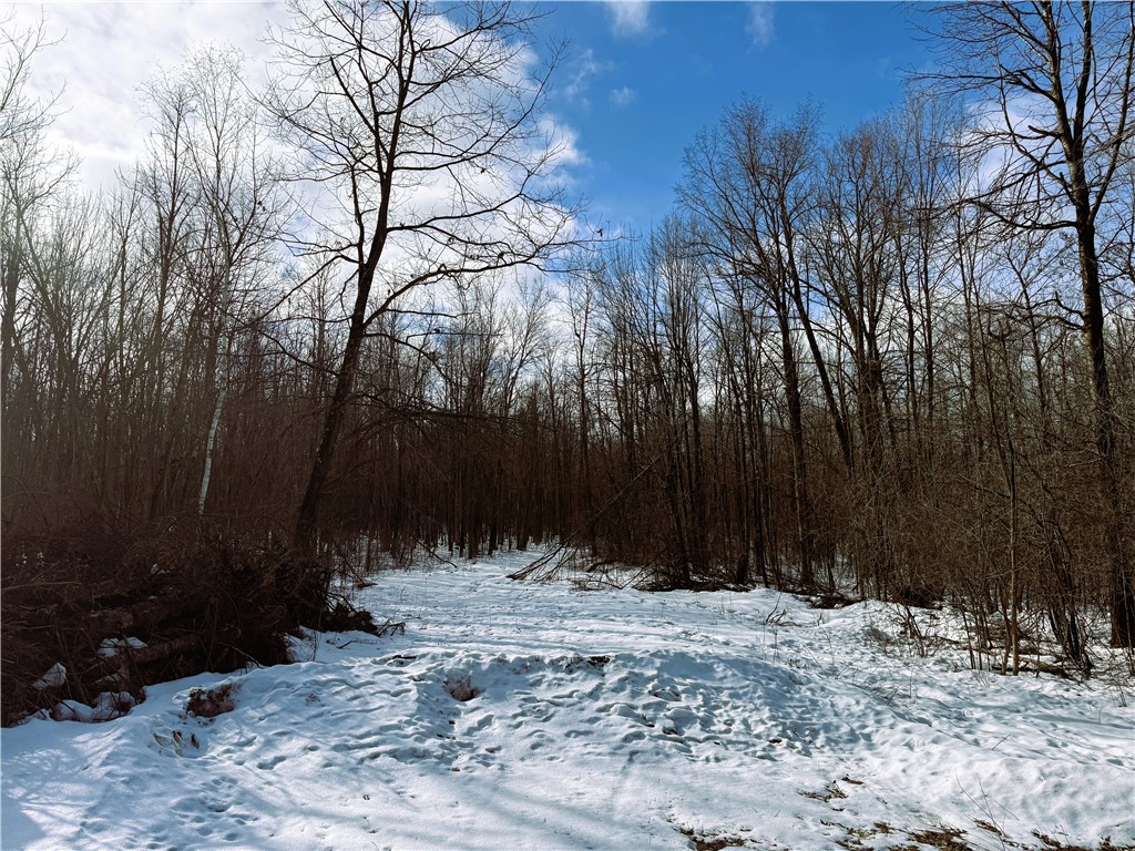 Land at 96+ Acres on White Birch Ridge Road, Ladysmith, WI 54848 — photo 2