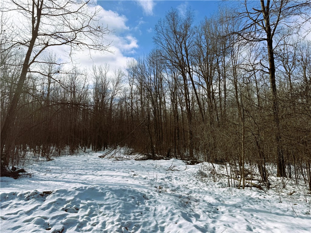 Land at 96+ Acres on White Birch Ridge Road, Ladysmith, WI 54848 — photo 13