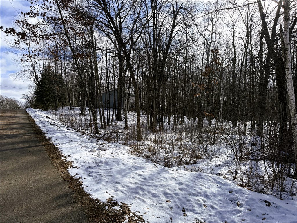 Land at 96+ Acres on White Birch Ridge Road, Ladysmith, WI 54848 — photo 14