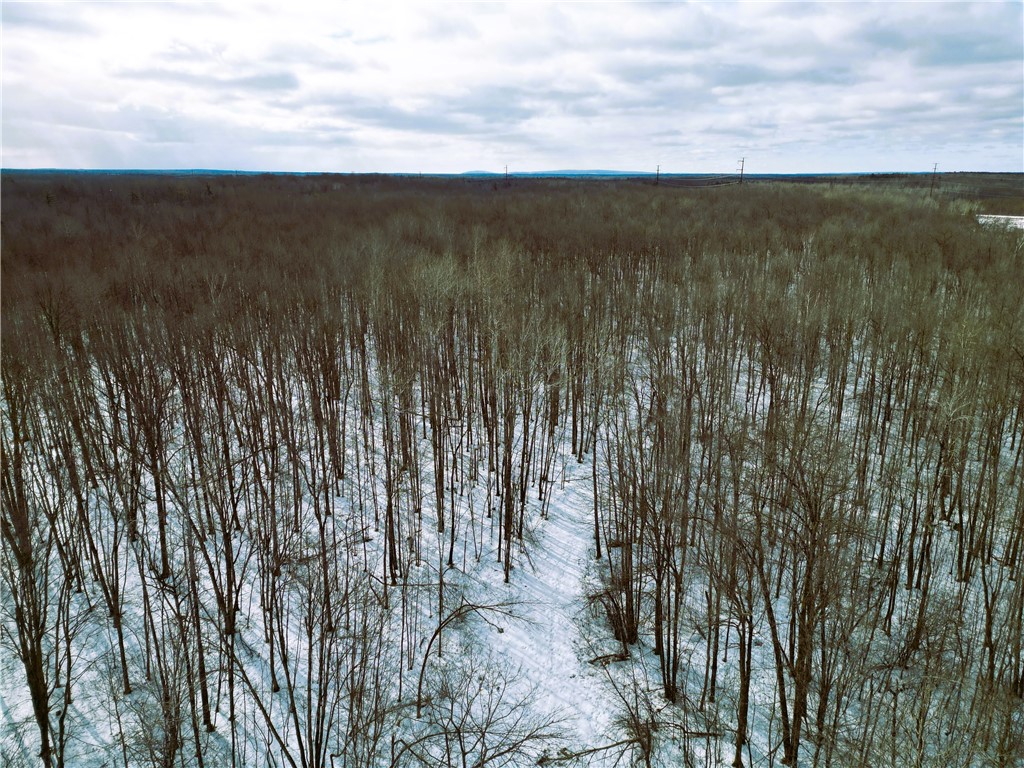 Land at 96+ Acres on White Birch Ridge Road, Ladysmith, WI 54848 — photo 16