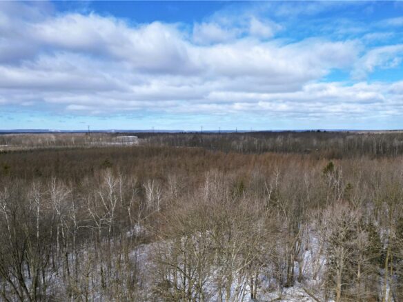 Land at 96+ Acres on White Birch Ridge Road, Ladysmith, WI 54848 — photo 1