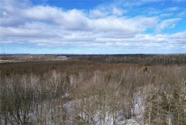 Land at 96+ Acres on White Birch Ridge Road, Ladysmith, WI 54848 — photo 1