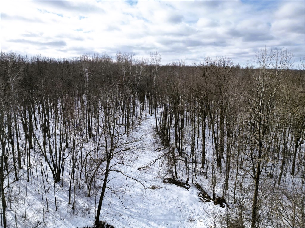 Land at 96+ Acres on White Birch Ridge Road, Ladysmith, WI 54848 — photo 7