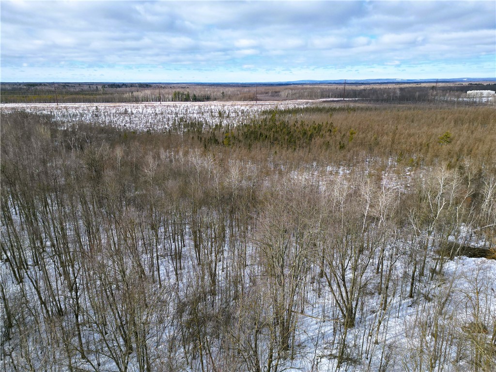 Land at 96+ Acres on White Birch Ridge Road, Ladysmith, WI 54848 — photo 8