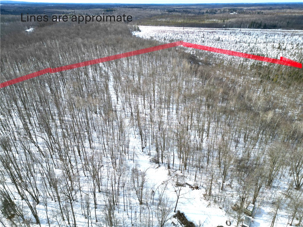 Land at 96+ Acres on White Birch Ridge Road, Ladysmith, WI 54848 — photo 9