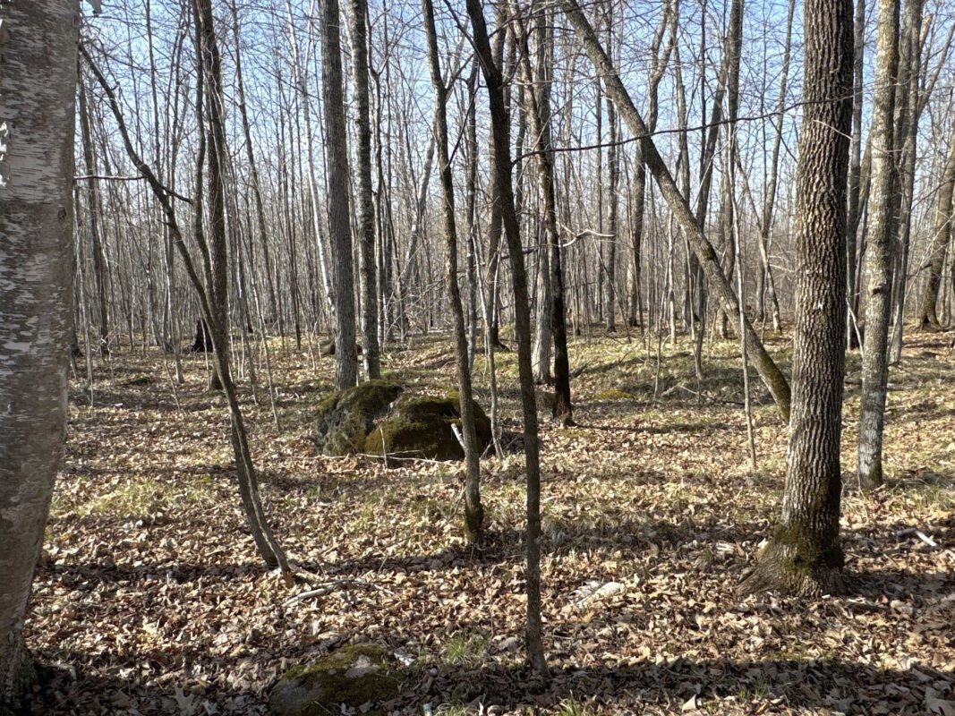 9618 W Mile Road Ladysmith WI 54848 — photo 23