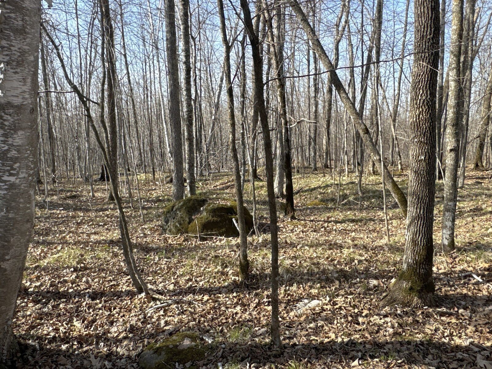 9618 W Mile Road Ladysmith WI 54848 — photo 23