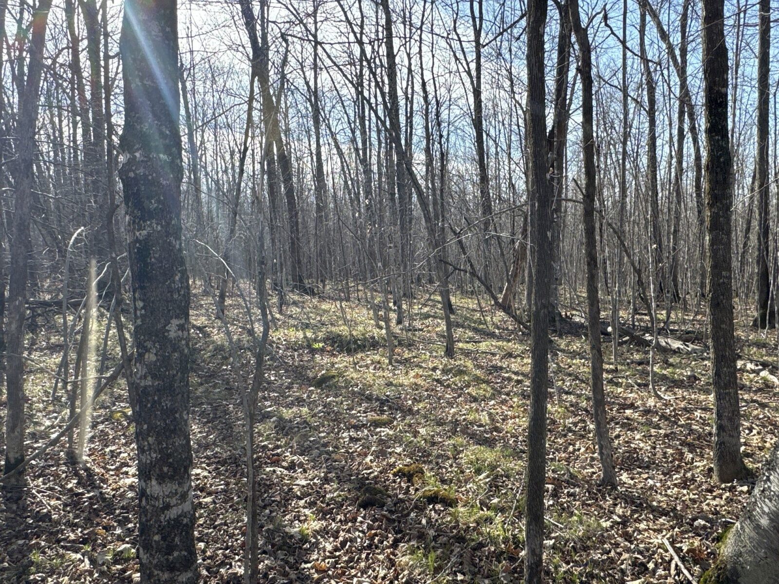 9618 W Mile Road Ladysmith WI 54848 — photo 24