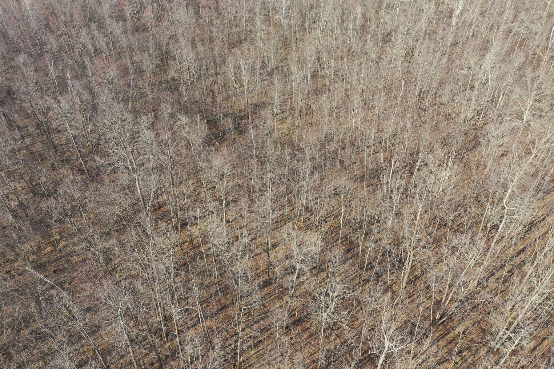 9618 W Mile Road Ladysmith WI 54848 — photo 34