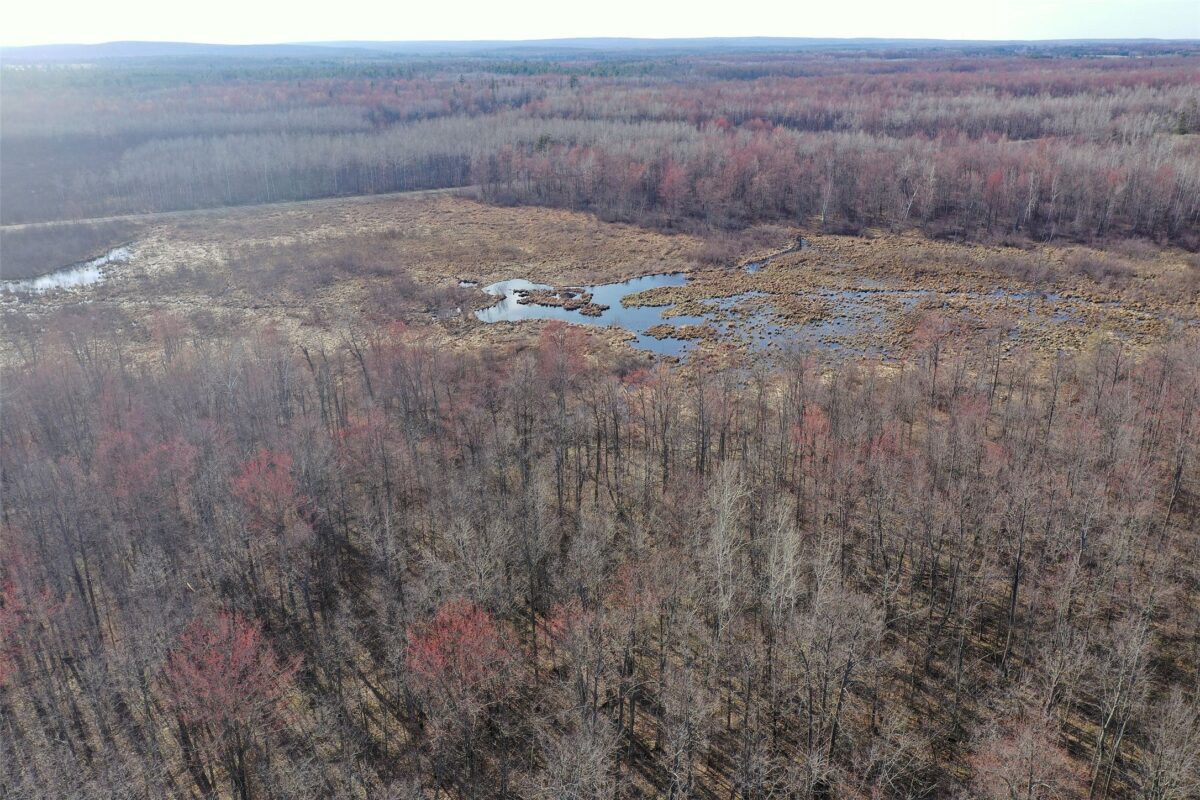 9618 W Mile Road Ladysmith WI 54848 — photo 35