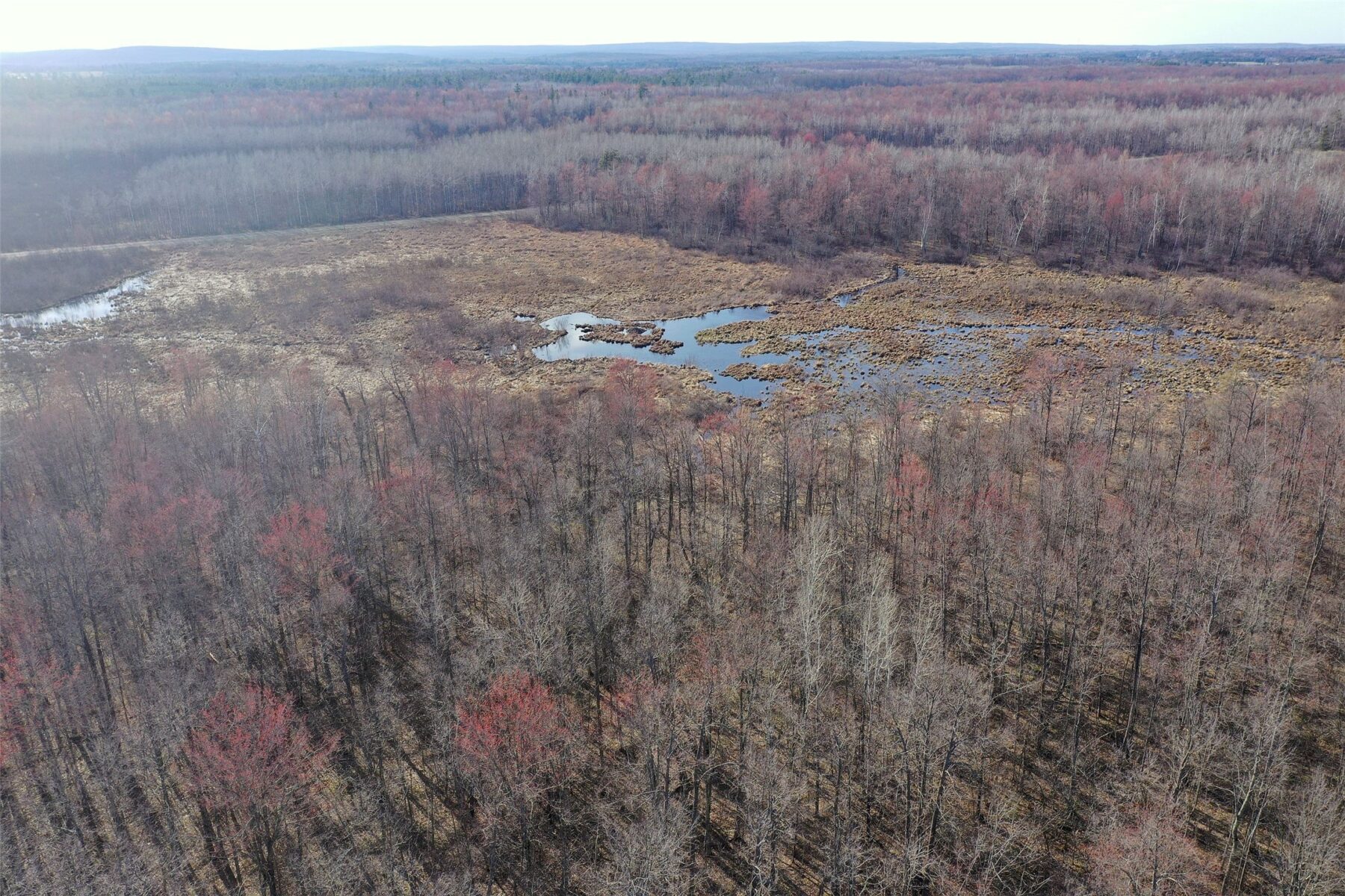 9618 W Mile Road Ladysmith WI 54848 — photo 35