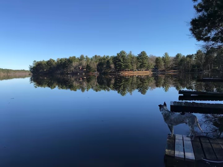 Residential at 985 25 1/16 Street, Chetek, WI 54728 — photo 2