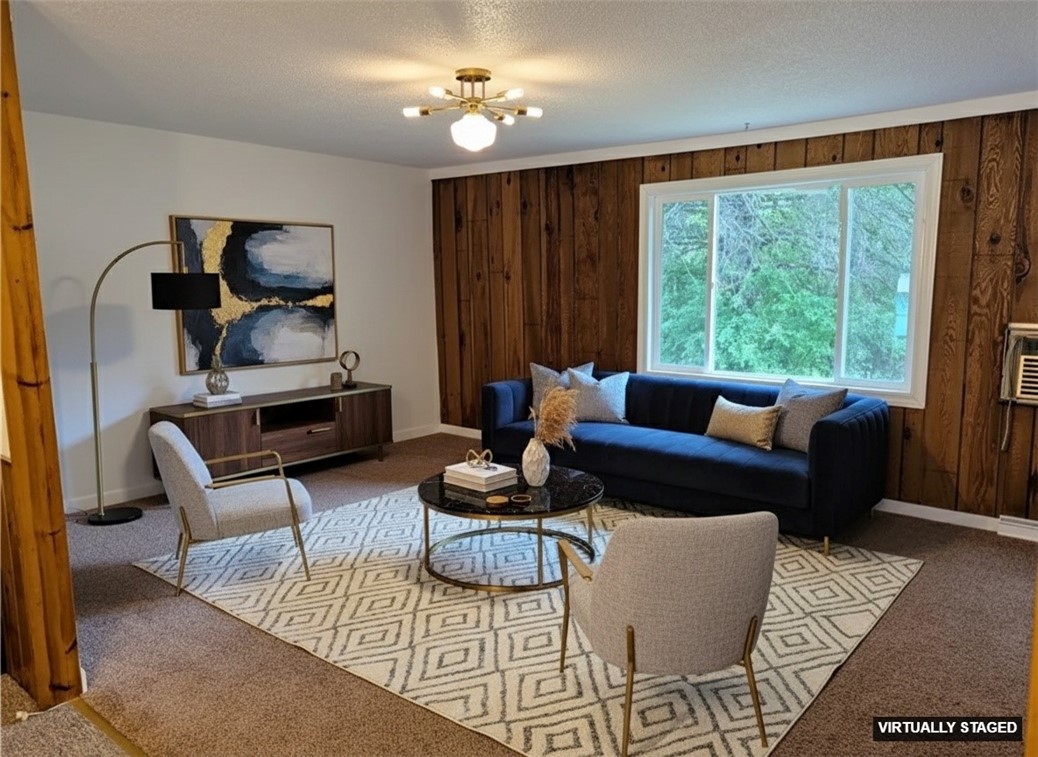 9995-Raven-Hayward-WI-54843-1