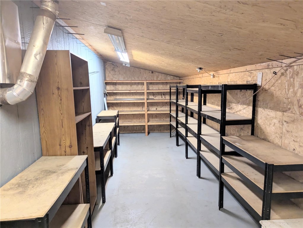 9995-Raven-Hayward-WI-54843-4