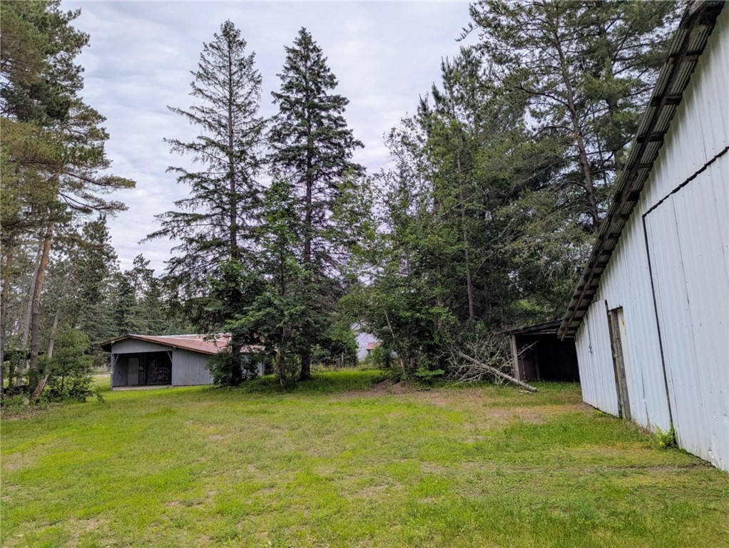 9995-Raven-Hayward-WI-54843-8