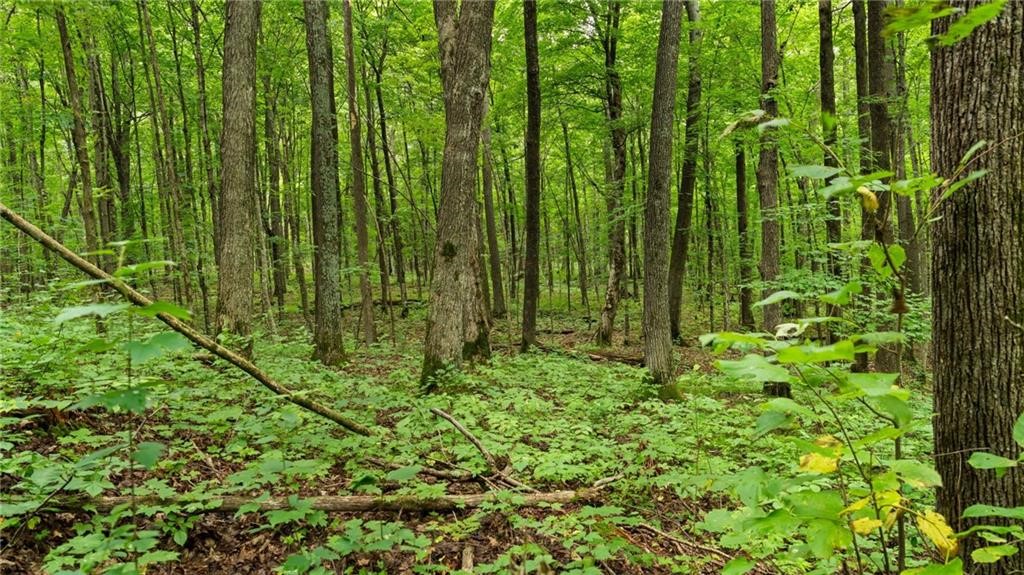 Land at Block 1 Comet Road, Exeland, WI 54835 — photo 14