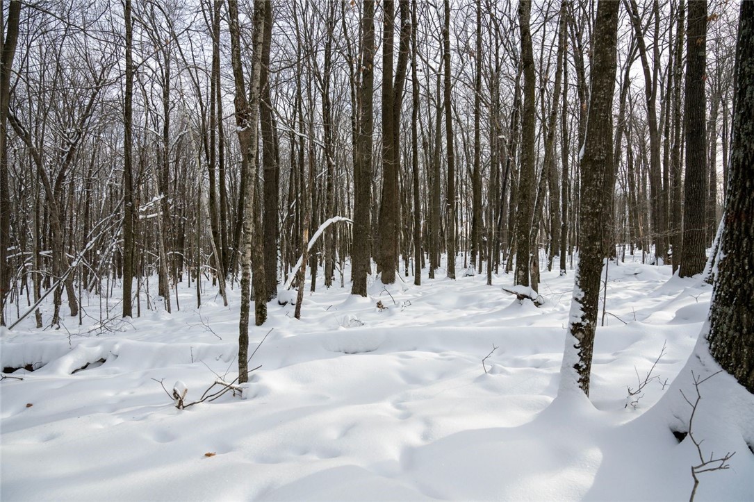 Land at Block 1 Comet Road, Exeland, WI 54835 — photo 15