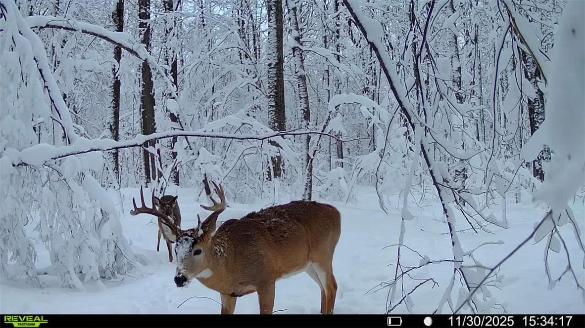 Land at Block 1 Comet Road, Exeland, WI 54835 — photo 16