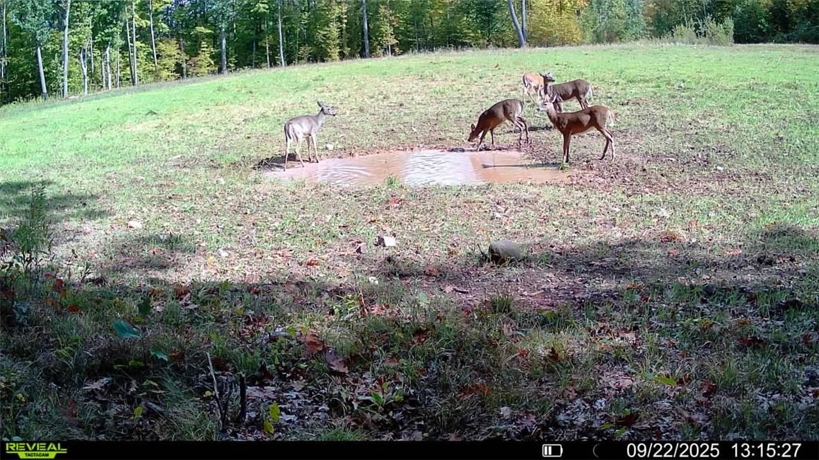 Land at Block 1 Comet Road, Exeland, WI 54835 — photo 19