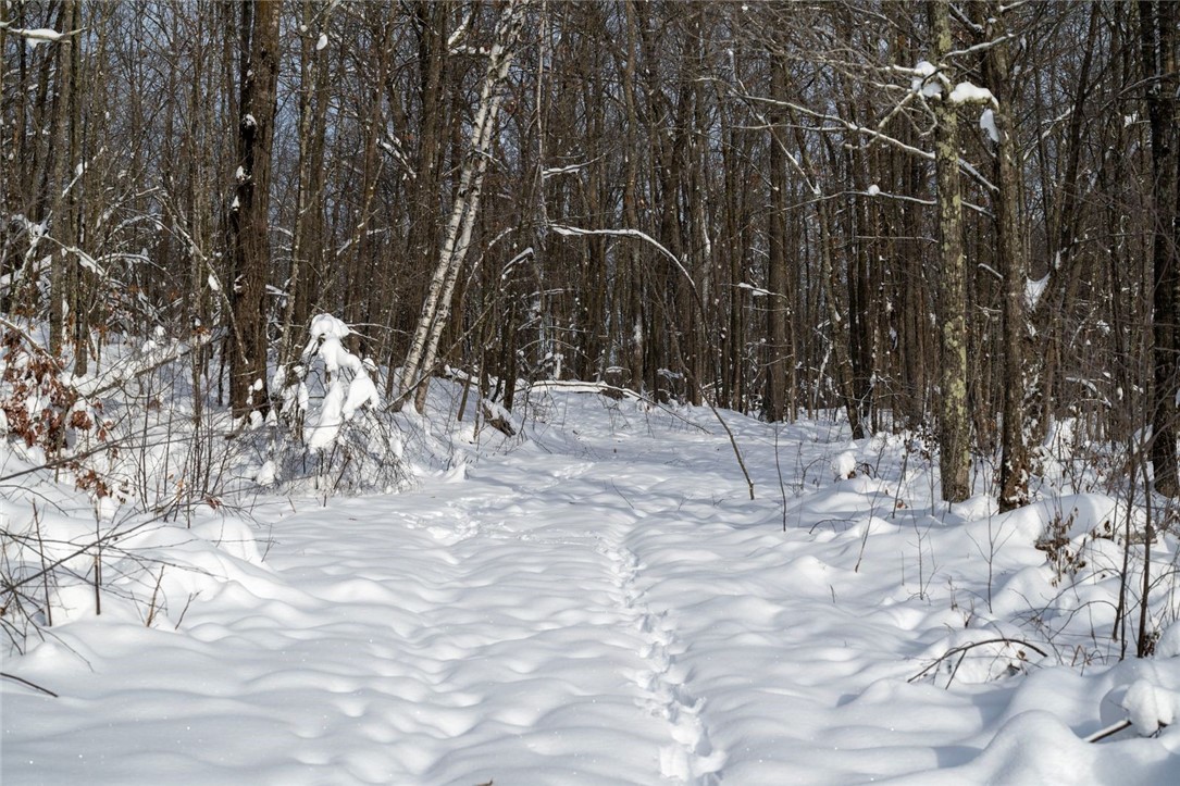 Land at Block 1 Comet Road, Exeland, WI 54835 — photo 7