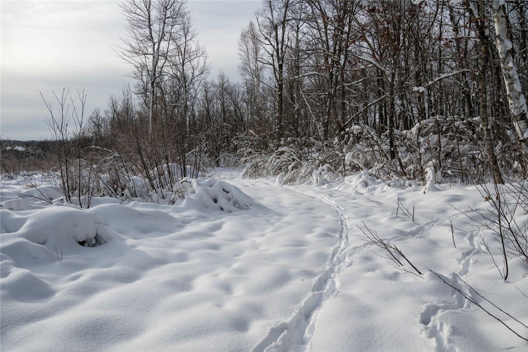 Land at Block 1 Comet Road, Exeland, WI 54835 — photo 8