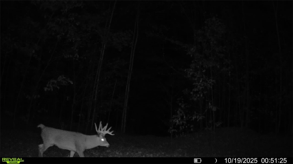 Land at Block 2 Comet Road, Exeland, WI 54835 — photo 19