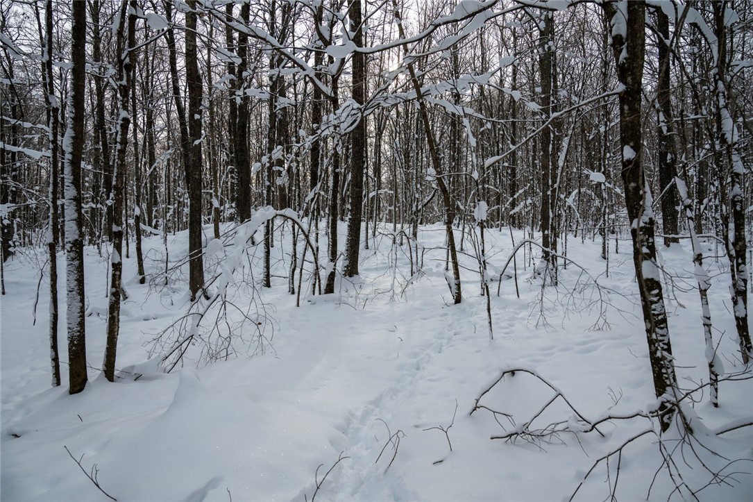 Land at Block 2 Comet Road, Exeland, WI 54835 — photo 7