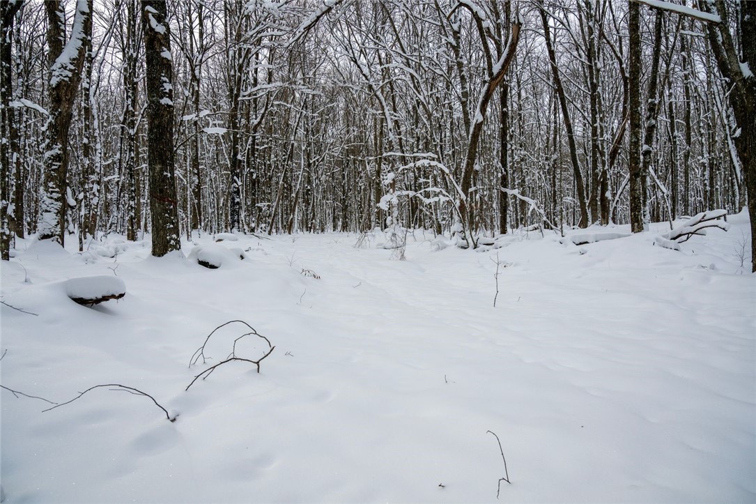 Land at Block 3 Comet Road, Exeland, WI 54835 — photo 11