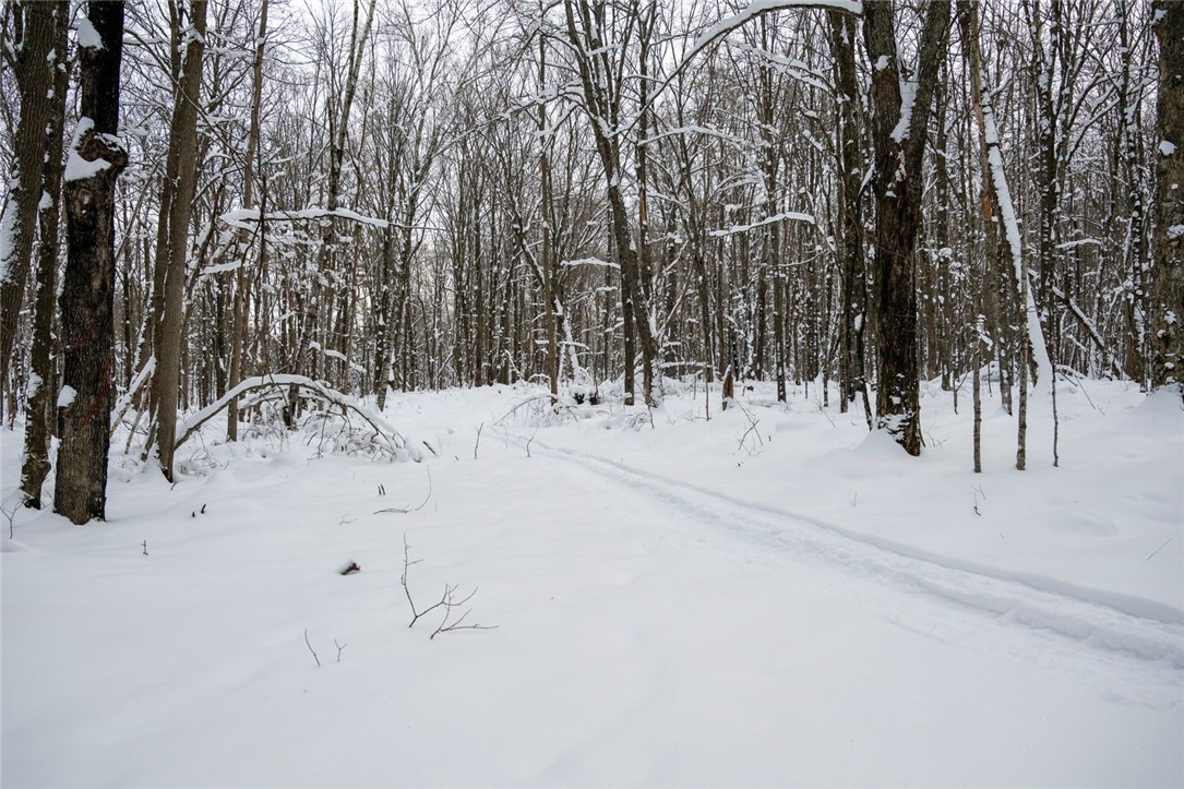 Land at Block 3 Comet Road, Exeland, WI 54835 — photo 12