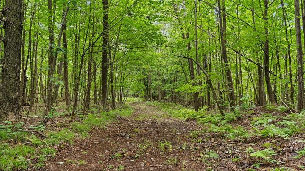 Land at Block 3 Comet Road, Exeland, WI 54835 — photo 13