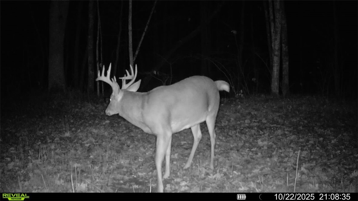 Land at Block 3 Comet Road, Exeland, WI 54835 — photo 15