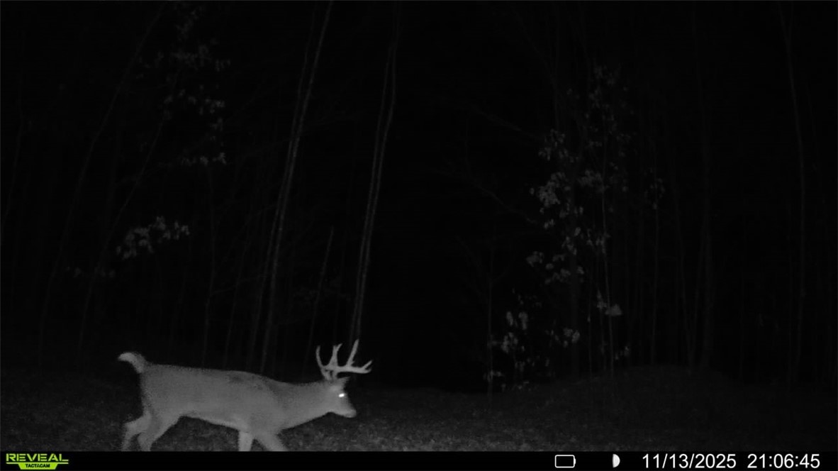 Land at Block 3 Comet Road, Exeland, WI 54835 — photo 16