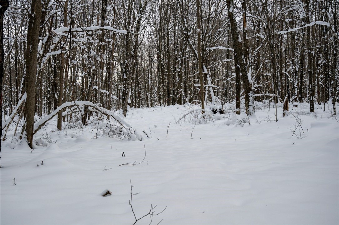 Land at Block 3 Comet Road, Exeland, WI 54835 — photo 10