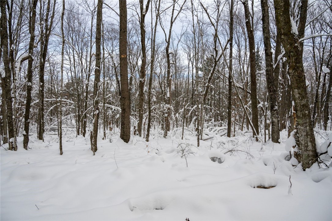 Land at Block 4 Comet Road, Exeland, WI 54835 — photo 11
