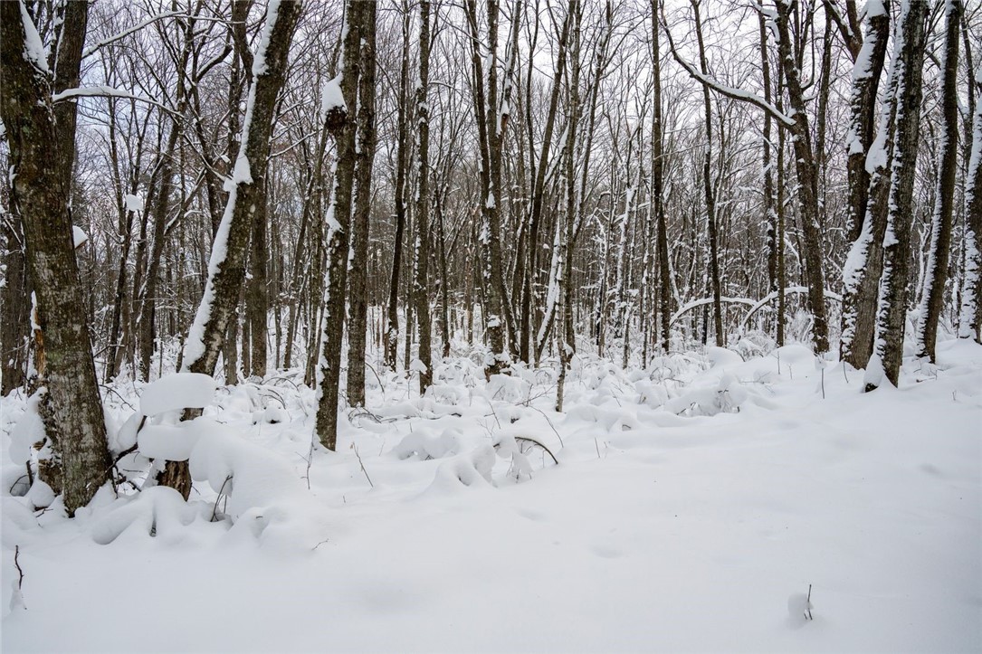 Land at Block 4 Comet Road, Exeland, WI 54835 — photo 12